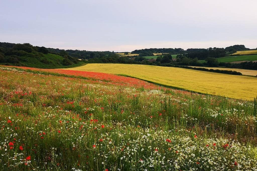 Blakeney Norfolk Bramble Lodge ***Self Catering*** Eksteriør billede